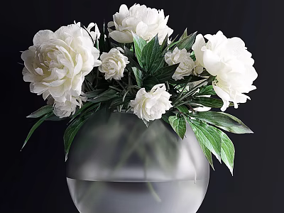 Transparent Glass Vase With White Peonies And Green Leaves On Black Background 3d model
