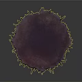 Purple Organ Like Structure With Hair Like Hanging Protrusions And Textured Surface