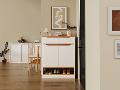 Stylish Entryway Design With White Shoe Cabinet Table Lamp Decorative Paintings And Wooden Floor 3d model