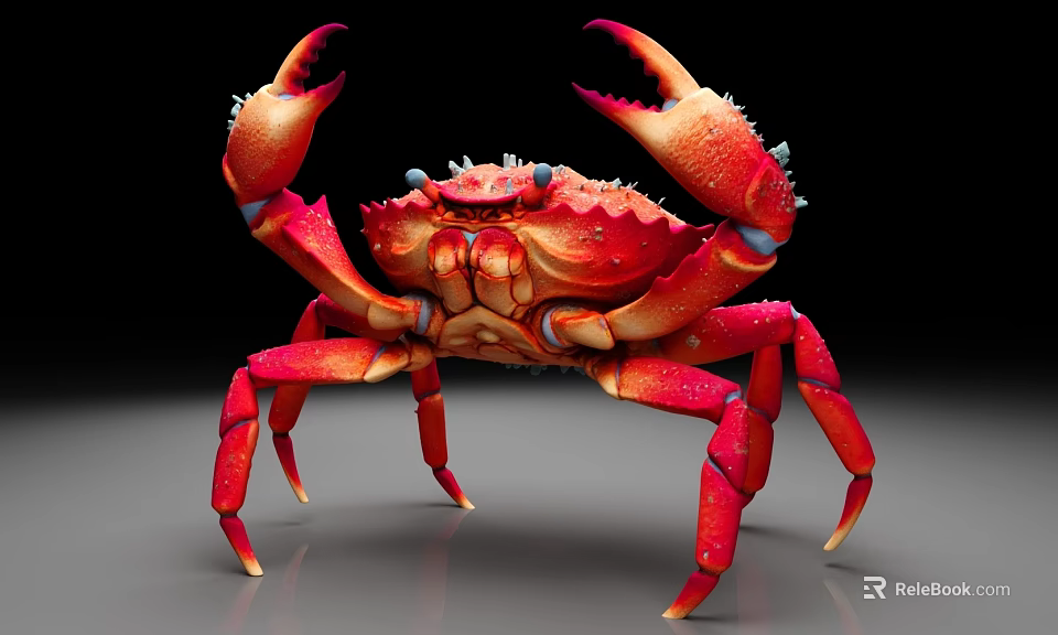 Red Marine Crab With Spiny Claws And Detailed Exoskeleton In Close Up View 3d model 