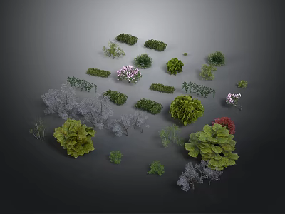 Diverse Plants with Green Leaves Various Shaped Shrubs and Pink Red Flowers on Dark Background 3d model