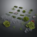 Diverse Plants with Green Leaves Various Shaped Shrubs and Pink Red Flowers on Dark Background