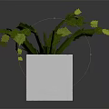 Cactus Plant with Green Stems and Yellow Flowers in White Square Pot