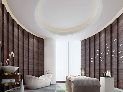 Modern SPA Club Wash Desk Bathtub Massage Bed 3d model