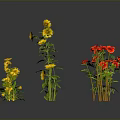 Vibrant Red And Yellow Floral Display With Green Leaves On Dark Background
