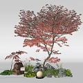 Natural Garden Ornament Featuring Red Maple Tree Small Palm Tree Stones Green Plants And Lamp