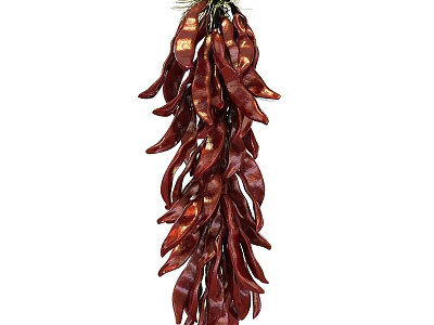 Hanging Dried Red Chili Peppers Bunch With Vibrant Color For Culinary Use 3d model