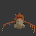 Orange Lobster with Large Claws and Long Legs on Dark Background in