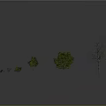 Various Plants With Green Red Leaves Small Trees And Dry Branches