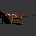 Two Playful Cats Black And Brown White Standing On Gray Background Surface