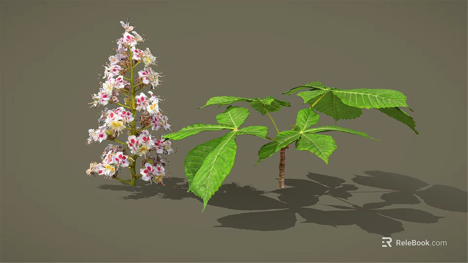 Blooming Vibrant Plant With Pink White Flowers And Fresh Green Leaves 3d model 