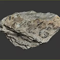 Natural Raw Stone Material With Detailed Surface Texture And Earthy Tones 3d model