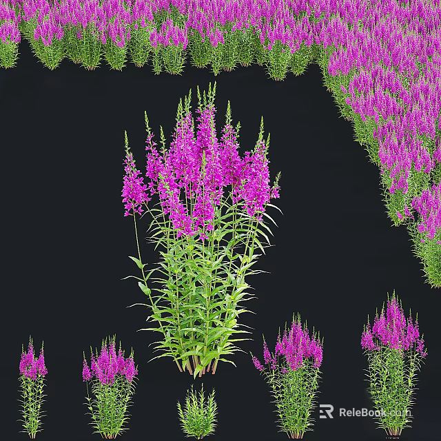 Ornamental Bonsai Potted Plant Featuring Vibrant Purple Flowers And Lush Green Foliage 3d model 