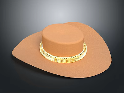 Stylish Brown Wide Brimmed Hat With Golden Decorative Band For Fashion Look 3d model
