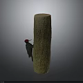 Red Crowned Black and Green Woodpecker Perched on Tall Wooden Pole Against Dark Background