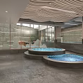Indoor Swimming Pool With Skylights Metal Handrails And Modern Interior Design