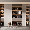 Modern bookcase 3d model