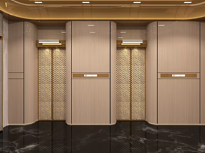 Modern Elegant Elevator Lobby With Beige Paneling Gold Accents And Black Marble Floor 3d model