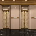 Modern Elegant Elevator Lobby With Beige Paneling Gold Accents And Black Marble Floor