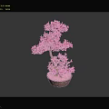 Pink Flowering Bonsai Plant with Artistic Trunk in Decorative Clay Pot
