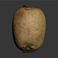 Fresh Organic Lotus Root With Natural Brown Spots And Smooth Surface Texture