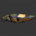 Vibrant Iridescent Beetle With Green Blue Yellow Stripes On Dark Background