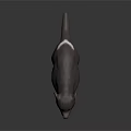 Realistic 3D Model of Tasmanian Devil Featuring Black Fur White Chest Patch and Pink Ears