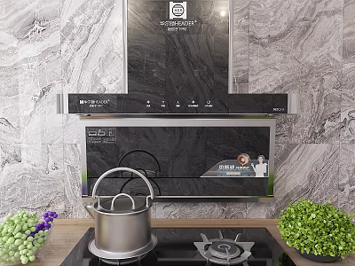 Modern Kitchen With Range Hood Gas Stove Marble Wall Green Plants And Pot 3d model