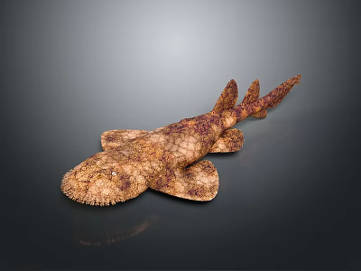 Realistic 3D Shark Model With Textured Brown Skin And Detailed Marine Animal Features 3d model