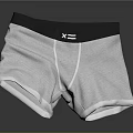 Men's Gray Trunks Underwear with Black Waistband and White Logo Design