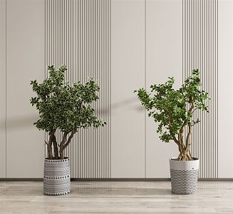 Modern potted plants 3d model