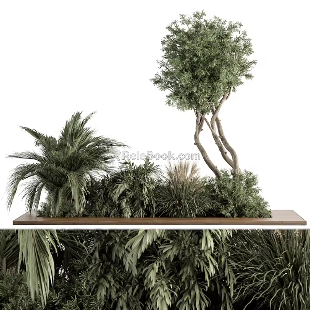 Outdoor Garden Green Planting Needle Trees and Palm Trees 3d model