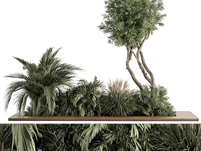 Outdoor Garden Green Planting Needle Trees and Palm Trees 3d model