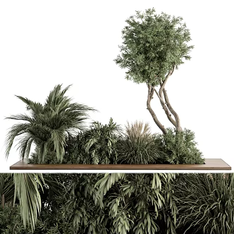 Outdoor Garden Green Planting Needle Trees and Palm Trees 3d model