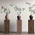 Three Bonsai Plants in Dark Ceramic Pots on Wooden Pedestals Minimalist Interior