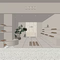 Modern Shoe Store with White Interior Neatly Arranged Shoes on Shelves and Green Plant