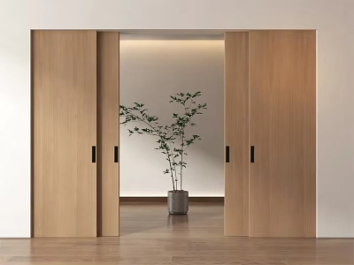 Open Wooden Sliding Doors With Green Plant In Gray Planter And Wooden Floor 3d model