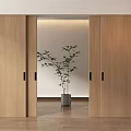 Open Wooden Sliding Doors With Green Plant In Gray Planter And Wooden Floor