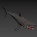 Great White Shark With Open Mouth Sharp Teeth On Blue Background 3d model