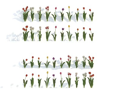 Colorful Tulips In Red White Yellow Purple Colors Neatly Arranged With Green Stems And Leaves 3d model