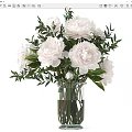 White Peony Flowers Arrangement In Transparent Glass Vase With Fresh Green Leaves And Clear Water