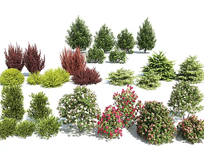 Various Colorful Garden Shrubs With Different Sizes Shapes And Foliage For Landscaping 3d model
