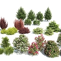 modern shrub hedgerow assemblage 3d model