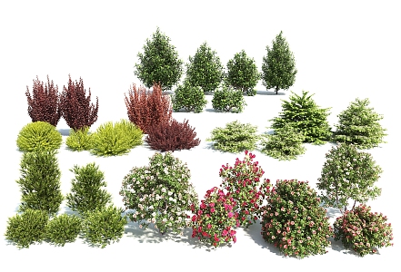 modern shrub hedgerow assemblage 3d model