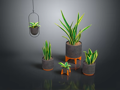 Indoor Plants With Green Yellow Striped Leaves In Hanging And Standing Pots On Dark Background 3d model