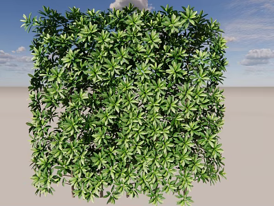 Cube Shaped Shrub With Lush Green Leaves Against Blue Sky And Sandy Ground 3d model