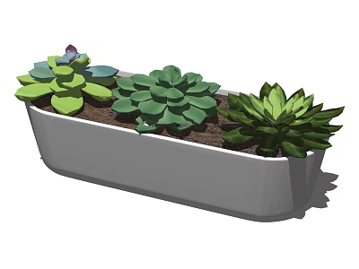 Modern Rectangular White Planter with Three Different Green Succulent Bonsai Plants 3d model