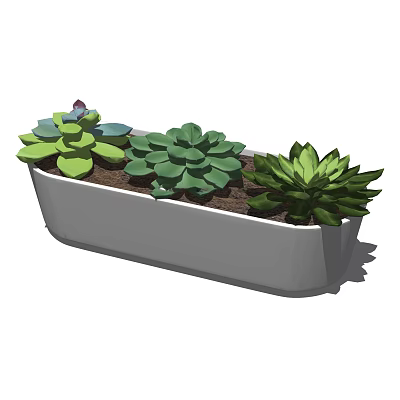 Modern Rectangular White Planter with Three Different Green Succulent Bonsai Plants 3d model