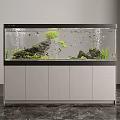 Aquatic Animals In Modern Aquarium With Rocks Aquatic Plants Decorative Plants And Cabinet Base