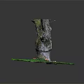 Natural Wooden Stump With Rough Texture On Green Grass And Mushrooms